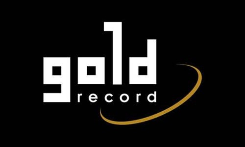 ÁLLÁSAJÁNLAT: Pénzügyi asszisztens  | Gold Record