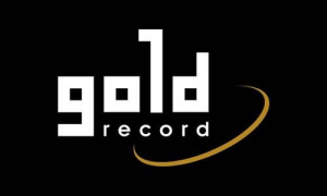 ÁLLÁSAJÁNLAT: Pénzügyi asszisztens  | Gold Record