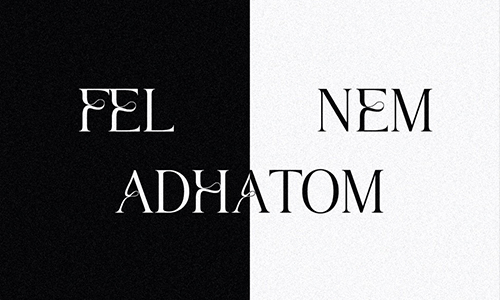 Kiss Kevin - Fel nem adhatom | Gold Record