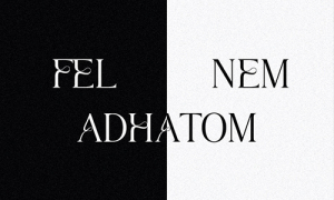 Kiss Kevin - Fel nem adhatom | Gold Record