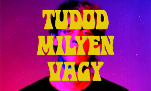 Hűvös - Tudod milyen vagy - Megérkezett az új dal! | Gold Record
