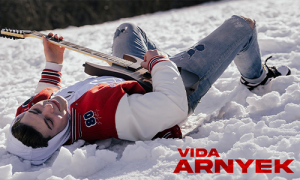 VIDA - Árnyék | Gold Record