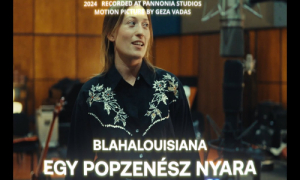 Blahalouisina: Egy popzenész nyara  | Gold Record
