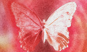 Manuel: Torz (EP) | Gold Record