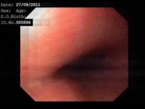 FISH! – Sav | Gold Record