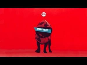 HŐSÖK – Kiskancsó | Gold Record