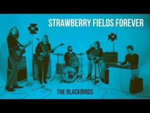 THE BLACKBIRDS – Strawberry Fields Forever | Gold Record