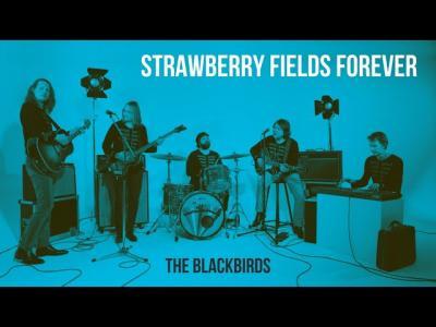 THE BLACKBIRDS – Strawberry Fields Forever | Gold Record