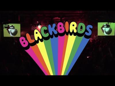 The BlackBirds Promo 2019 | Gold Record