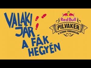 PILVAKER – Valaki jár a fák hegyén | Gold Record