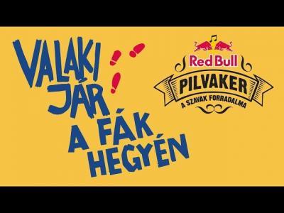PILVAKER – Valaki jár a fák hegyén | Gold Record