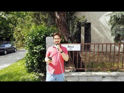 LÓCI JÁTSZIK – Minden úgy jó, ahogy van | Gold Record