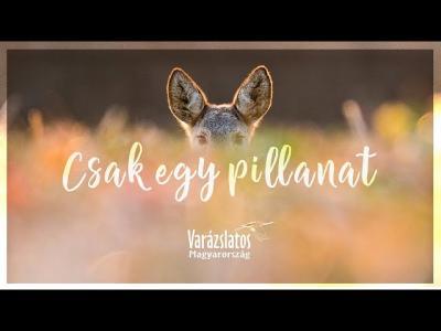 VARÁZSLATOS MAGYARORSZÁG – Csak egy pillanat | Gold Record