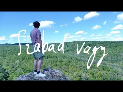 NÉHAI BÁRÁNY – Szabad vagy | Gold Record