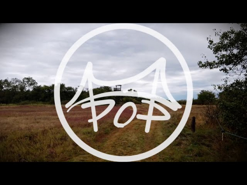 CHAIN BRIDGE POP – Anyámtól | Gold Record