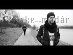 HAJDU ERIK – Szürke madár | Gold Record