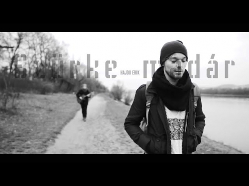 HAJDU ERIK – Szürke madár | Gold Record