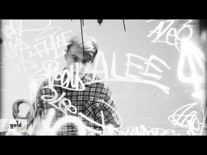 ALEE – Pillanatkép | Gold Record